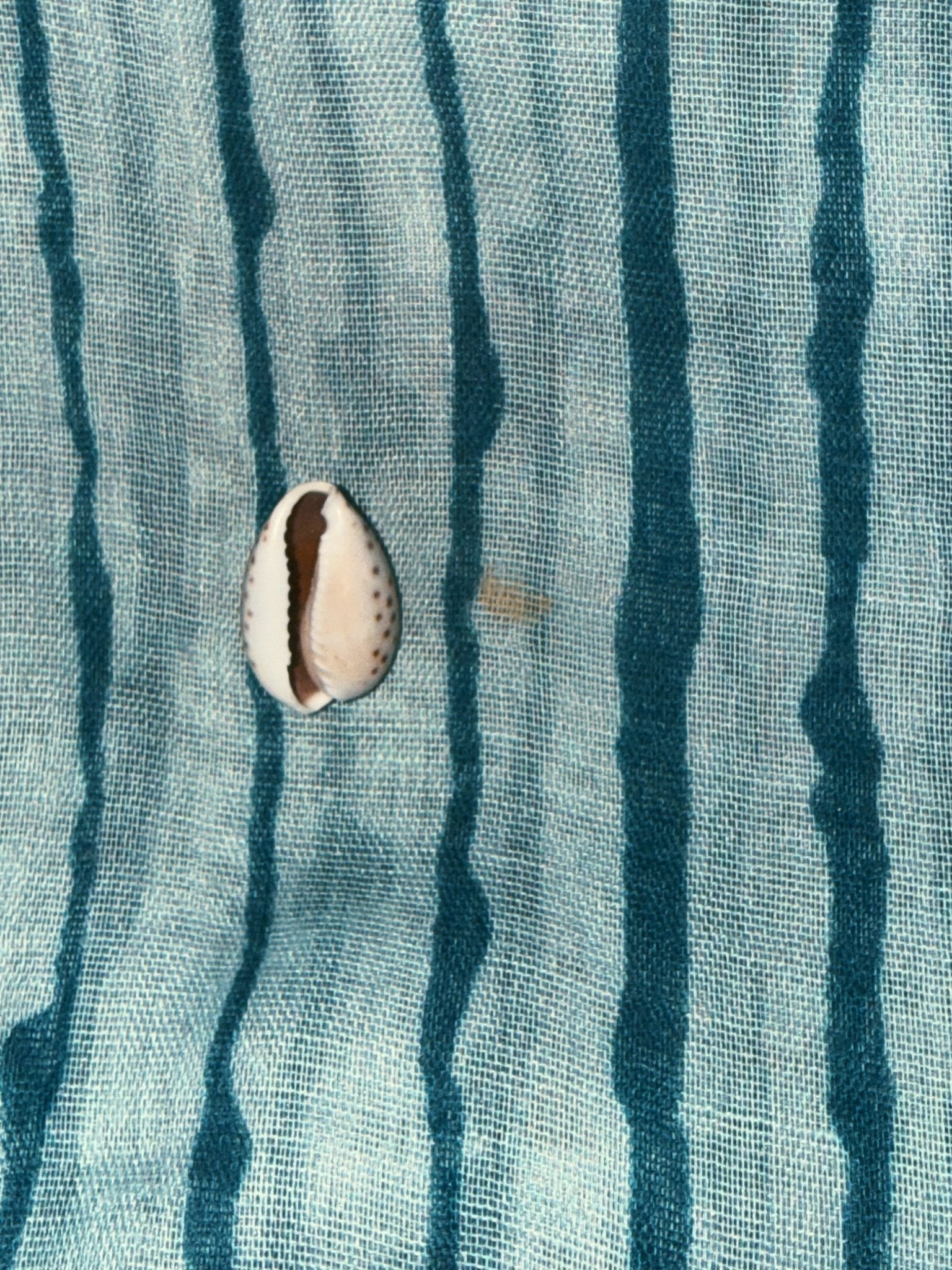Viscose Scarf Top - Molly Dart